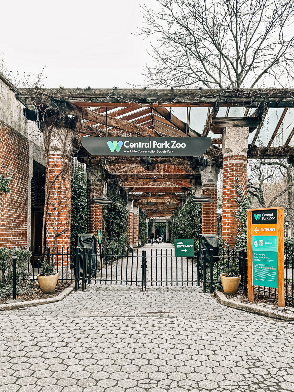 A Day at Central Park Zoo with Kids - Tandra Nicole