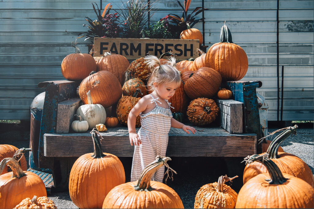 October Bucket List for Families