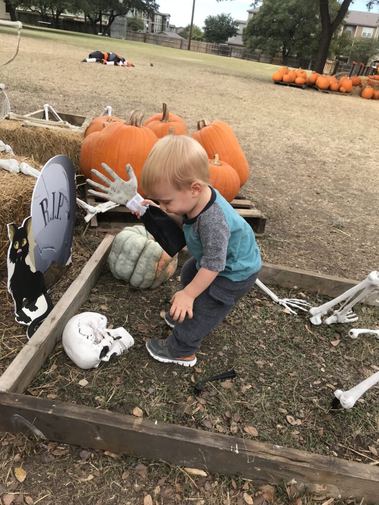 San Antonio Pumpkin Patch - Universal City